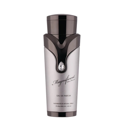 Magnificent Silver Pour Homme EDP