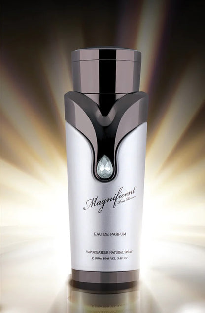 Magnificent Silver Pour Homme EDP