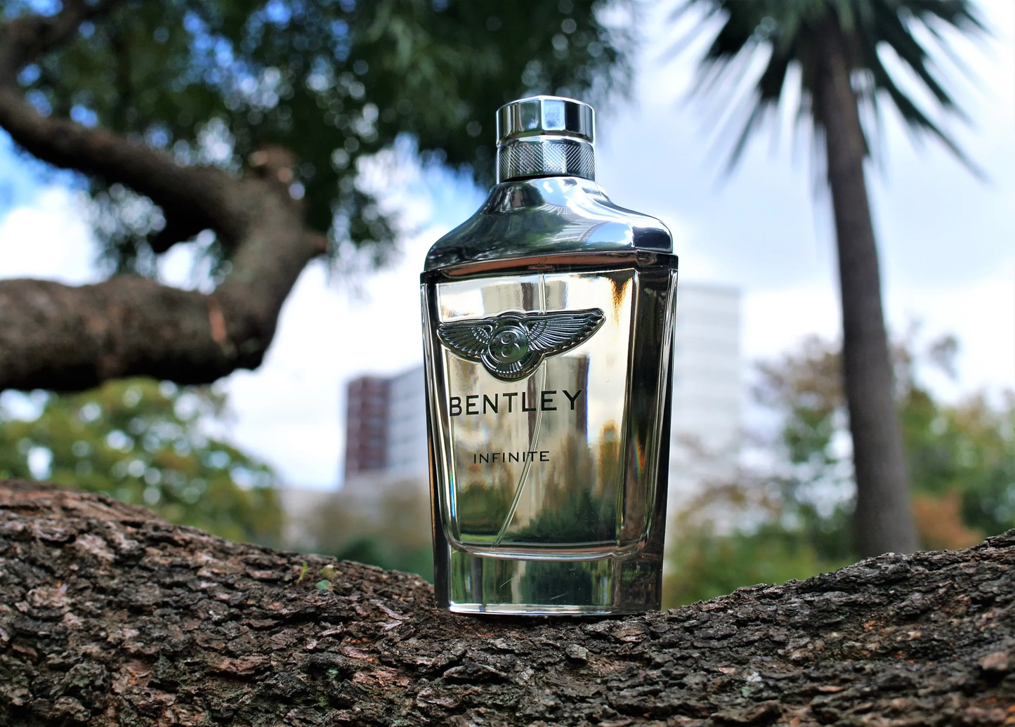 Bentley Infinite EDT