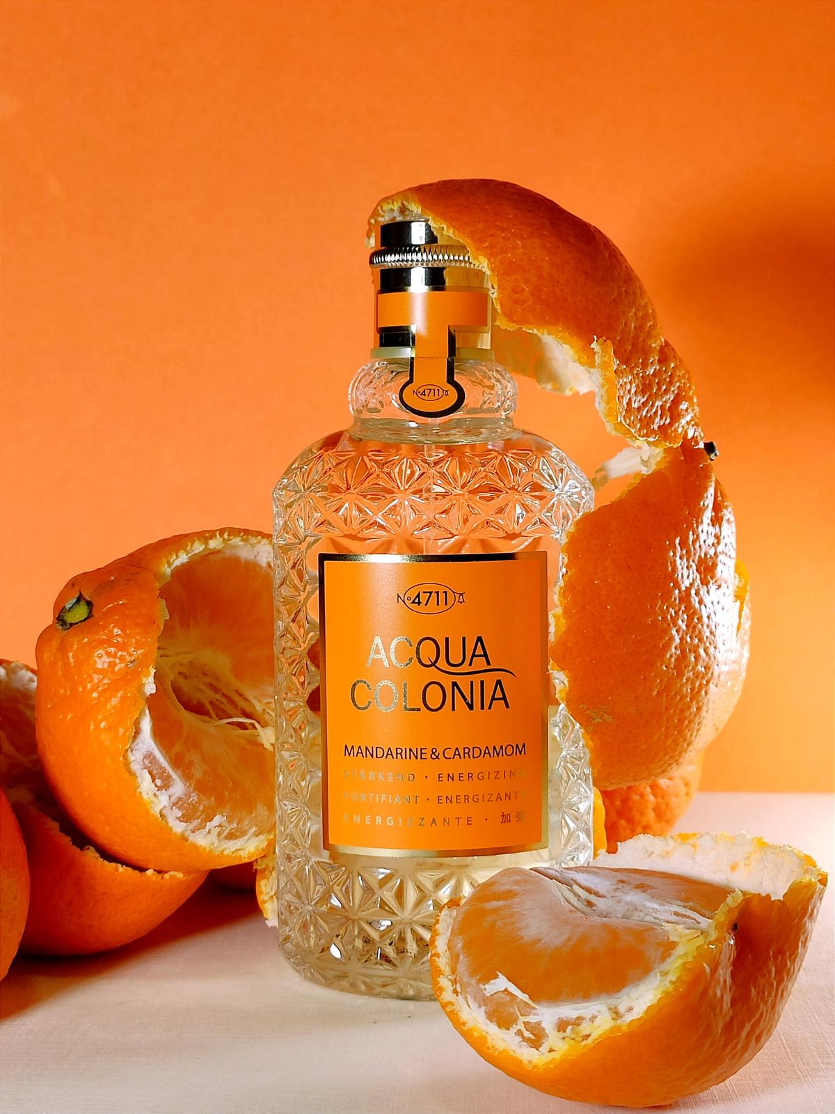 Acqua Colonia Mandarine & Cardamom EDC