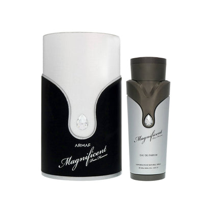 Magnificent Silver Pour Homme EDP